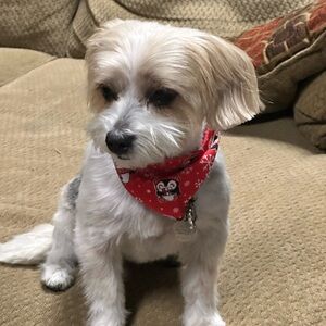 Meet your Posher, Christine